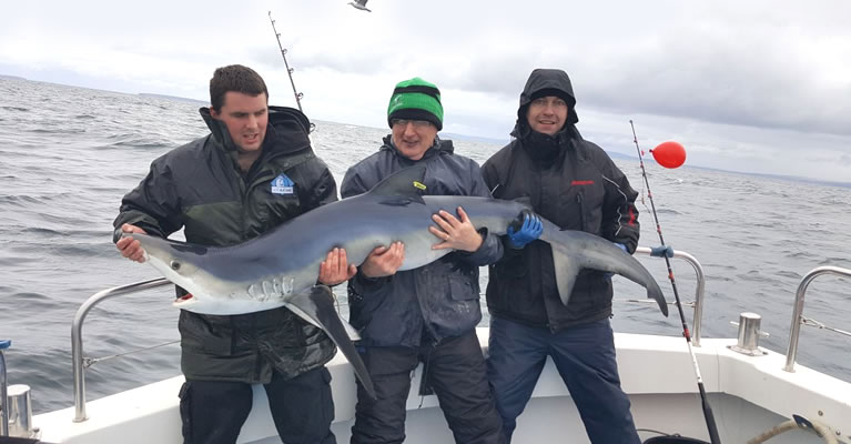 shark fishing Galway 02